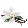 Vanilla