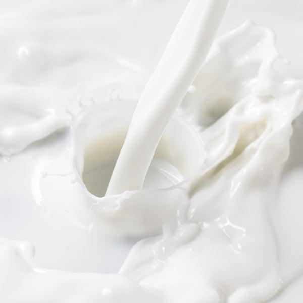 Beekman 1802