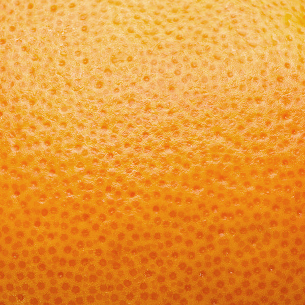 Up close shot of the skin of an orange to represent the citrus ingredient in Beekman 1802's Pure Goat Milk Body Serum. 