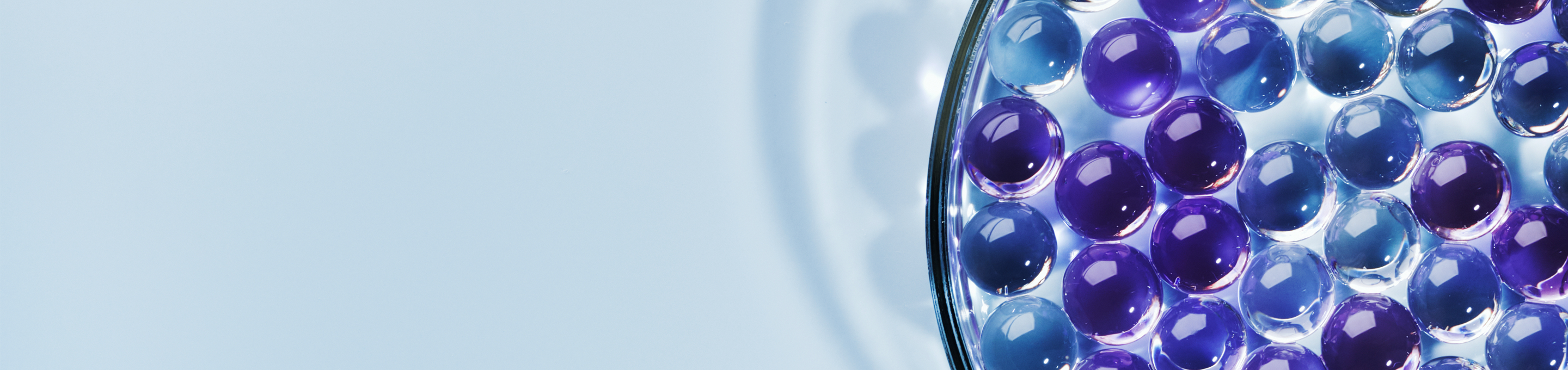 Close Up shot of Petri Dish with blue and purple ceramide round gel orbs inside, on a blue background to the right of the screen, with shadow behind the dish. 