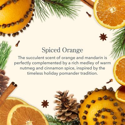 Under the Mistletoe 4-Piece Lip Balm Set