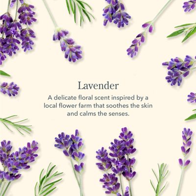 Lavender Face Wipes Set of 4