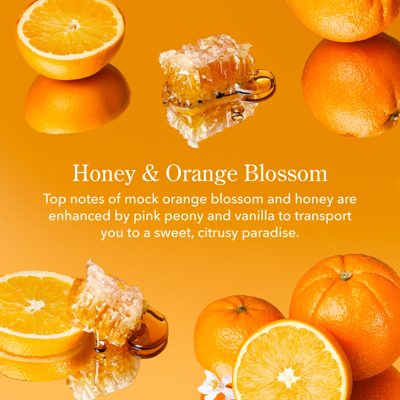 Bee Sweet (and Kind) Bodycare Bundle