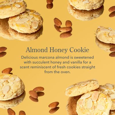 Almond Honey Cookie Goat Milk Lotion