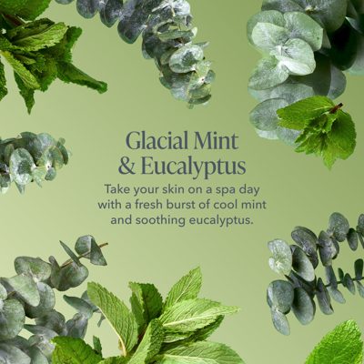 Glacial Mint & Eucalyptus Bodycare Favorites Set