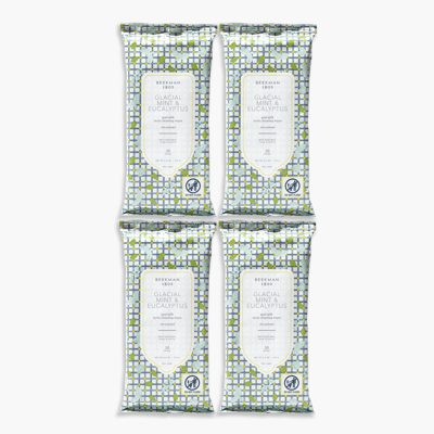 Glacial Mint & Eucalyptus