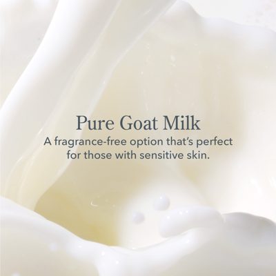 Pure Fragrance Free Goat Milk Soap Set of 4